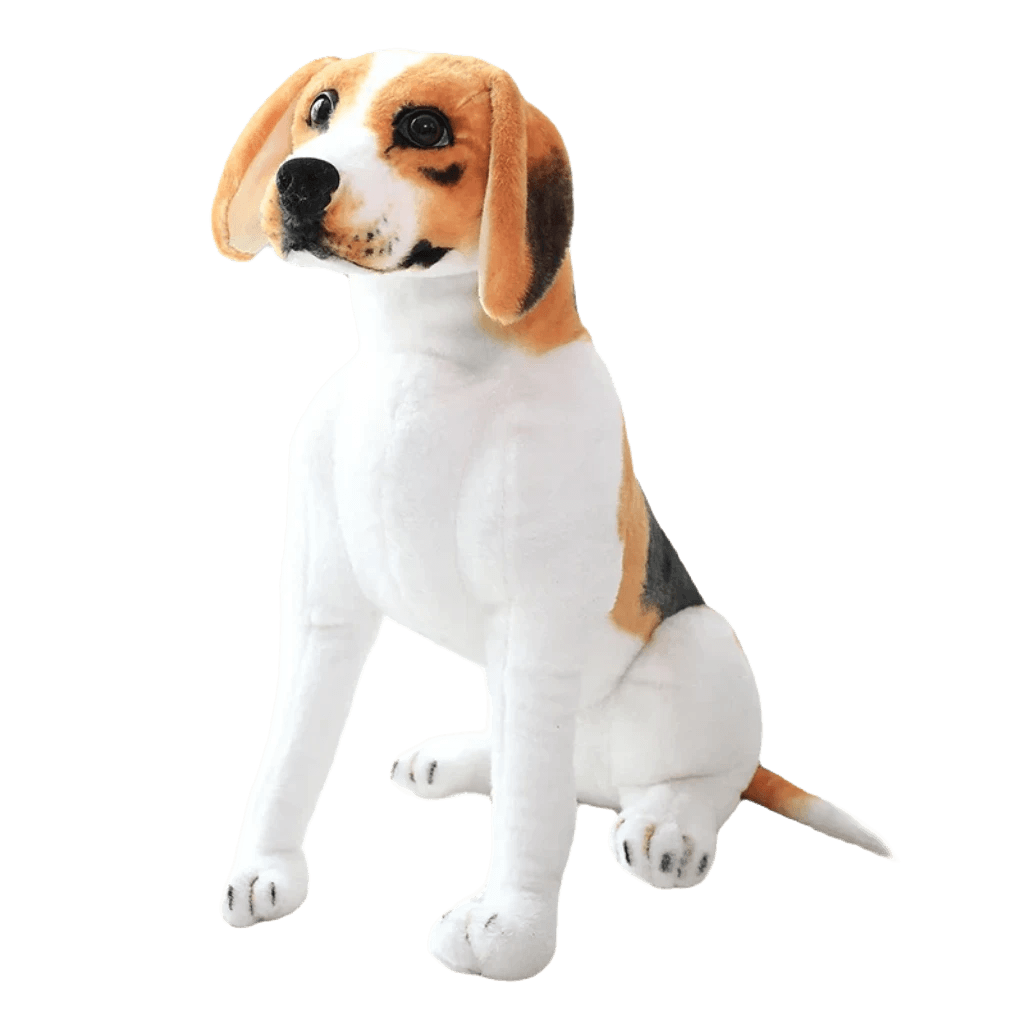 Beagle hund bamse