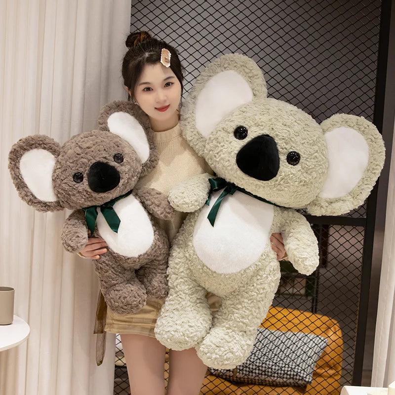 Teddy koala