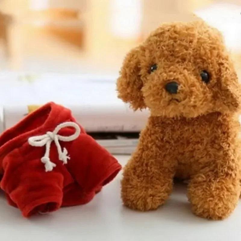 Pomeranian hund med bamse snit