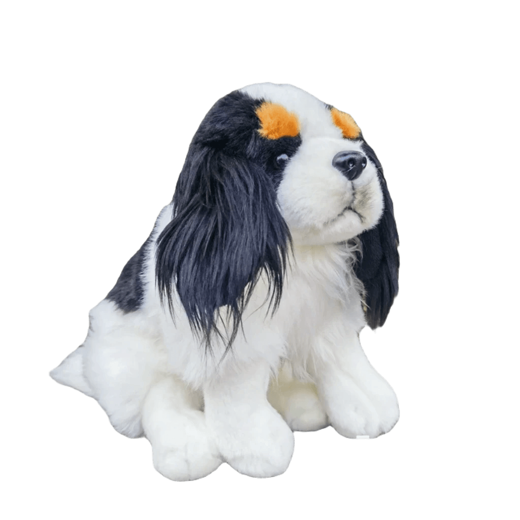 Cavalier king charles teddy