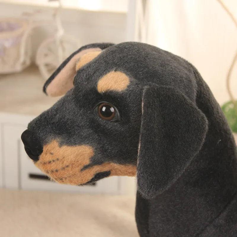 Rottweiler bamse