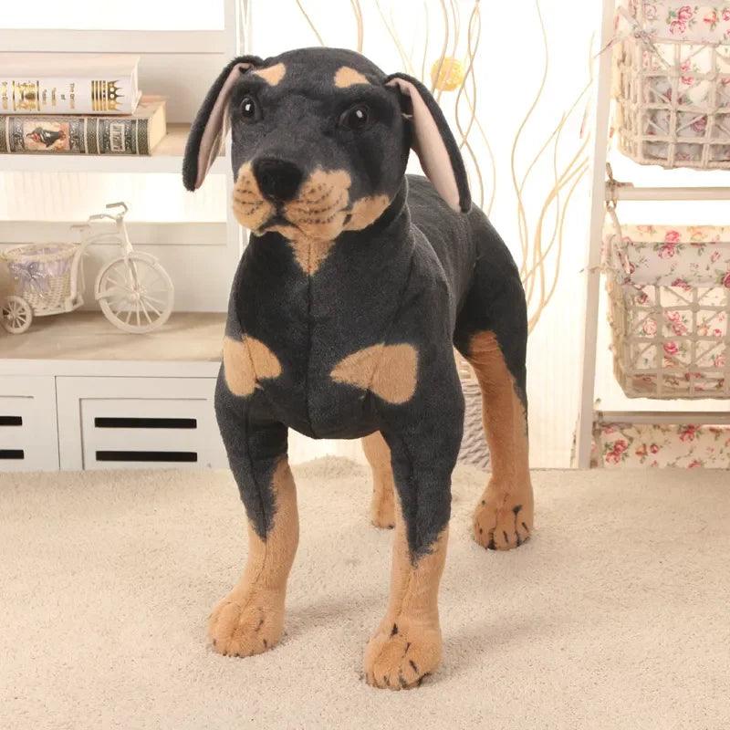 Rottweiler bamse