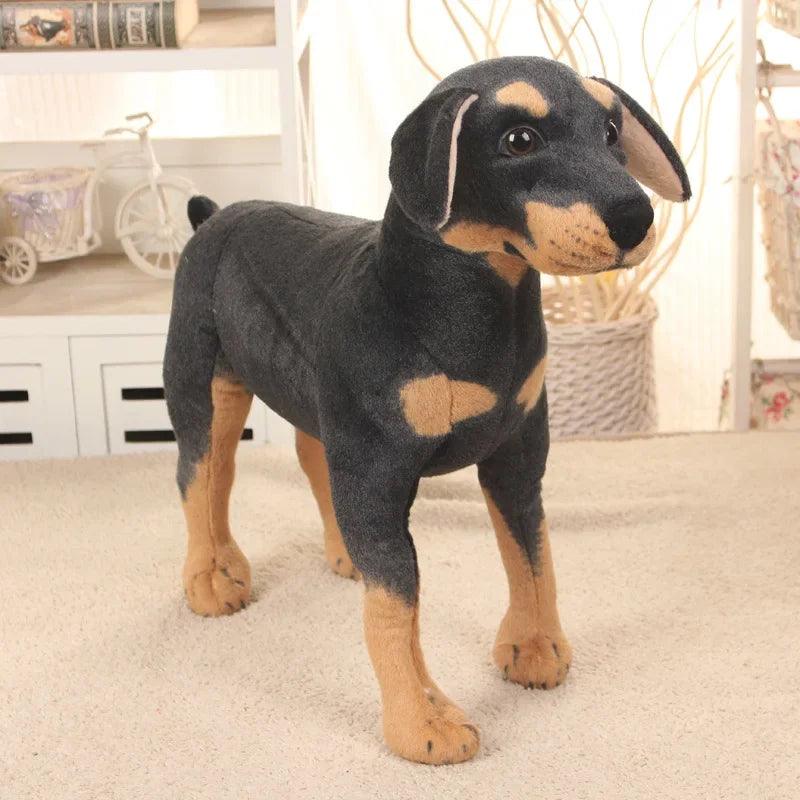 Rottweiler bamse