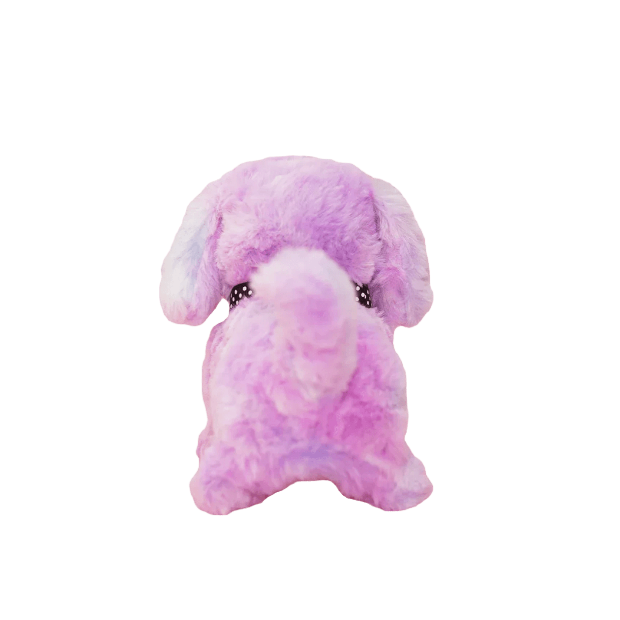 Cockapoo bamse