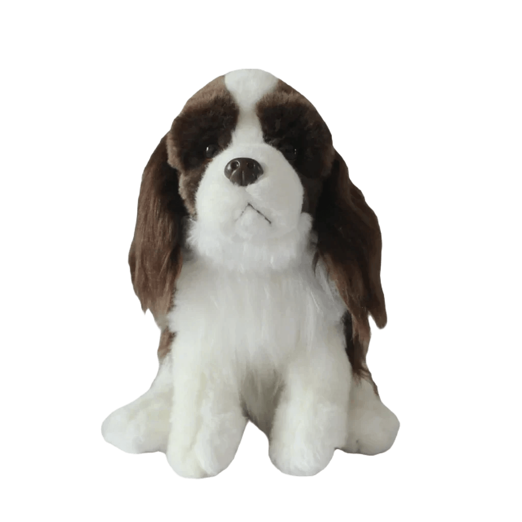 Cavalier king charles teddy