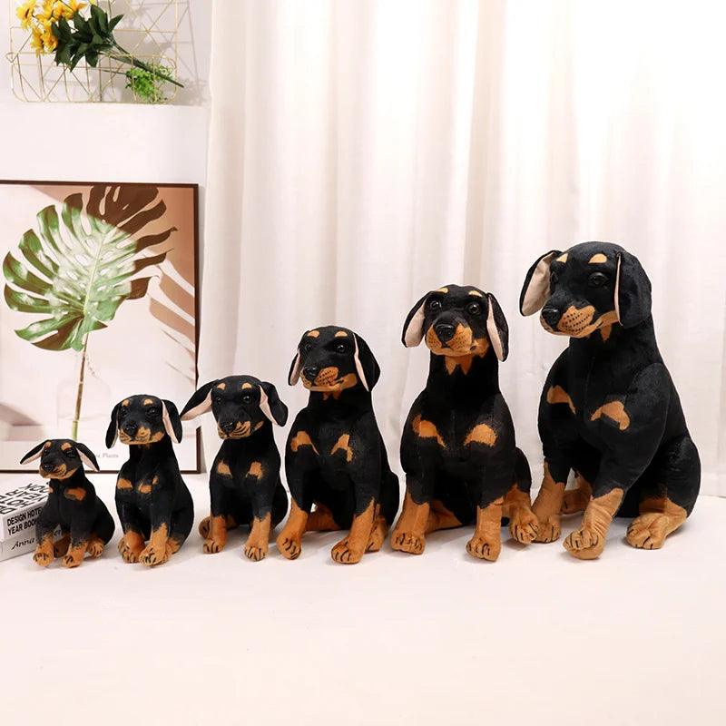 Rottweiler bamse