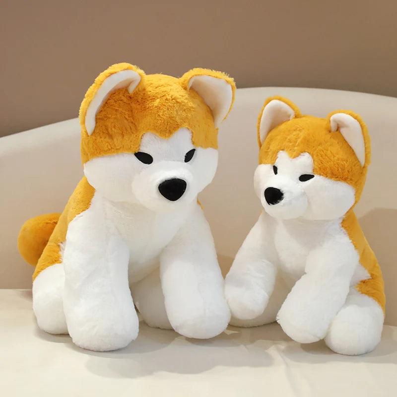 Shiba inu plys japan