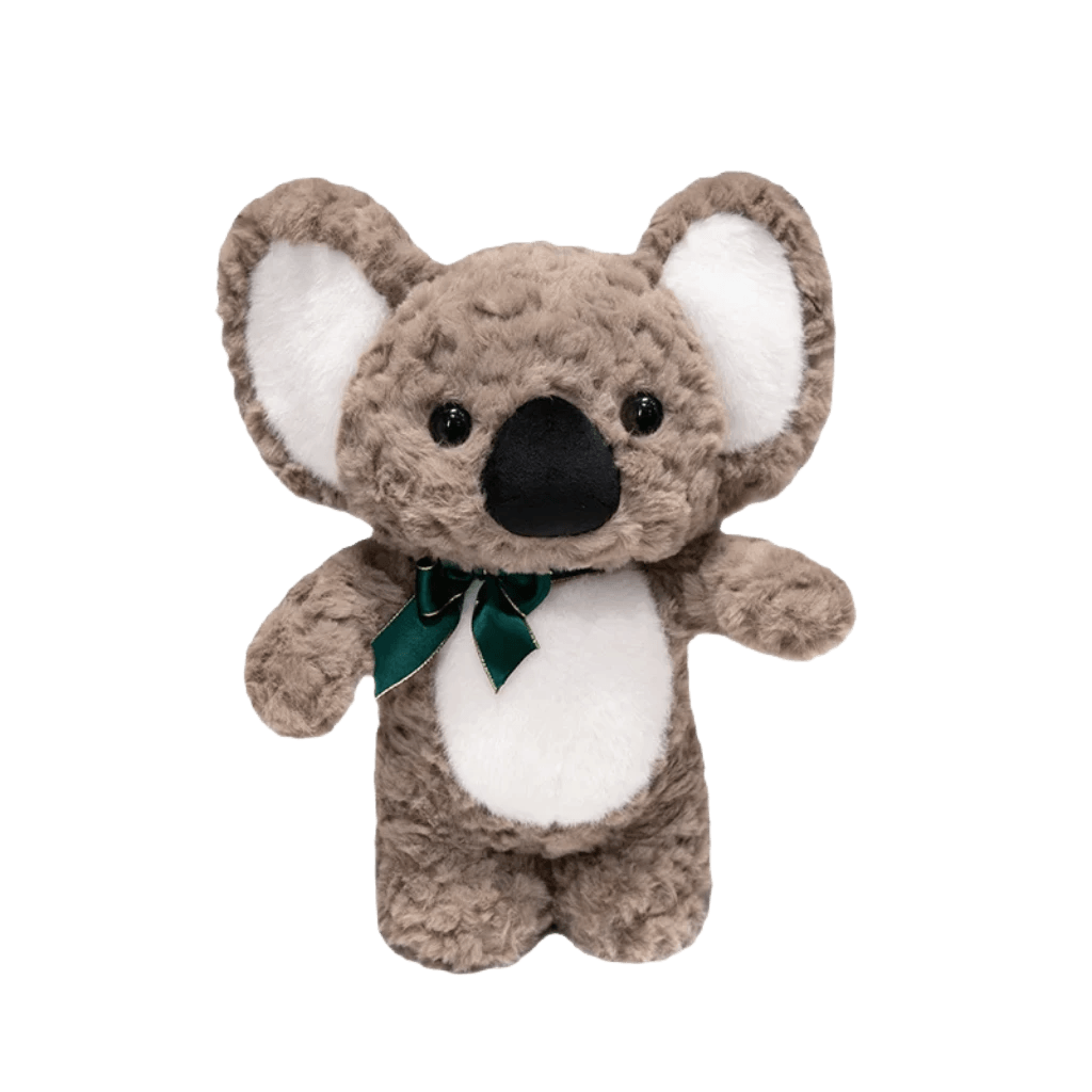 Teddy koala