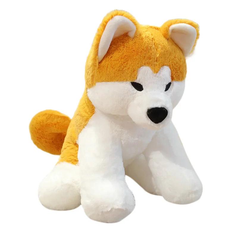 Shiba inu plys japan