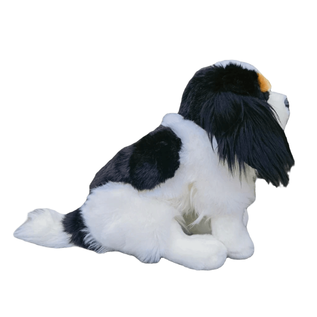 Cavalier king charles teddy