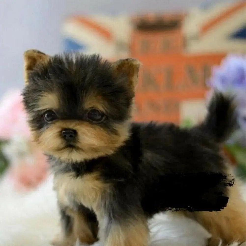 Yorkie hundebamse