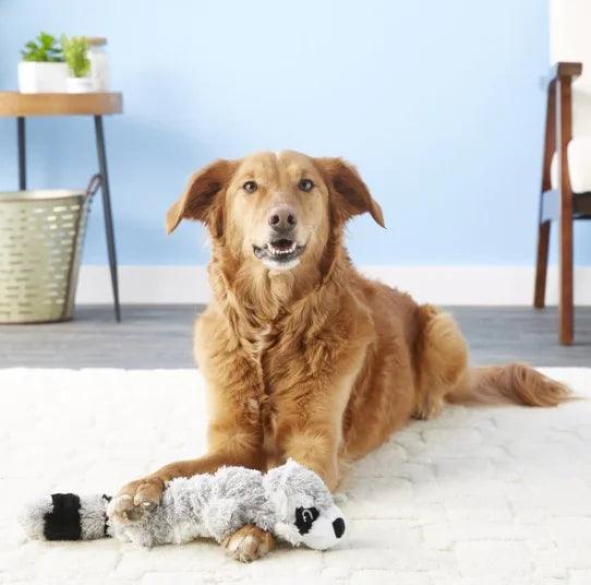 Kong hunde plys legetøj